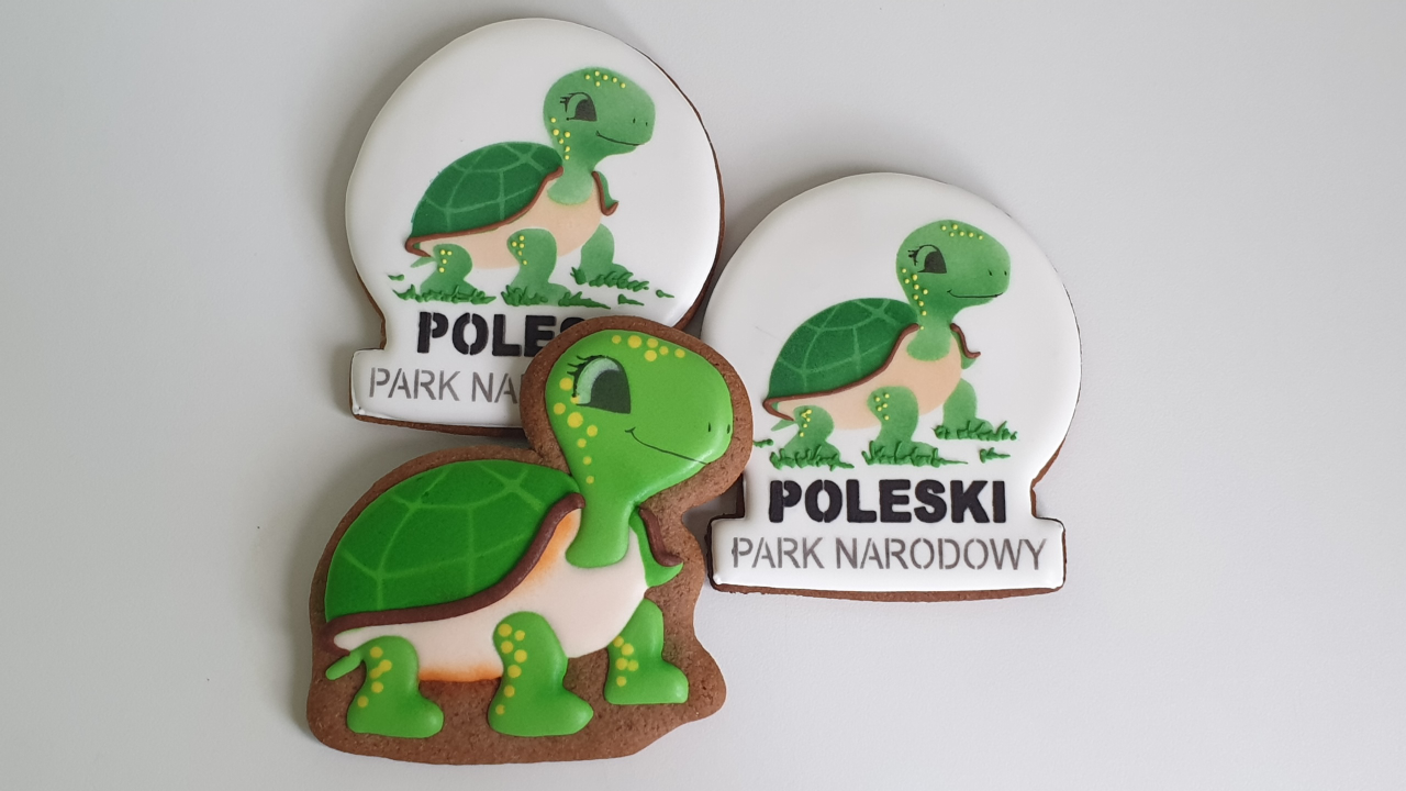 Poleski Park Narodowy, ciastka reklamowe, żółw błotny, pierniki reklamowe, PPN - lukrowane ciasteczka Basia sweets